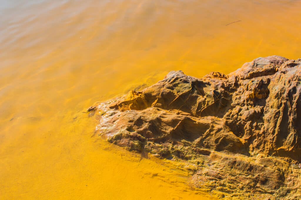 Ruta de senderismo en Niebla bordeando el río Tinto 4 IMG 0301