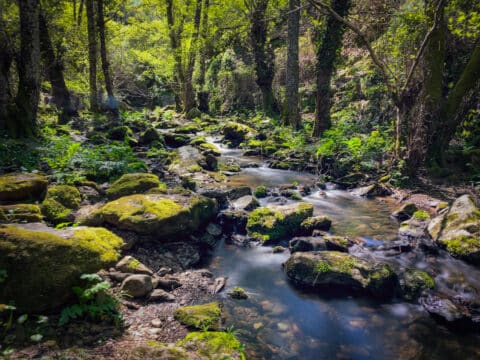 Charco Malo: ruta popular de senderismo en la Sierra de Huelva 29 charco malo