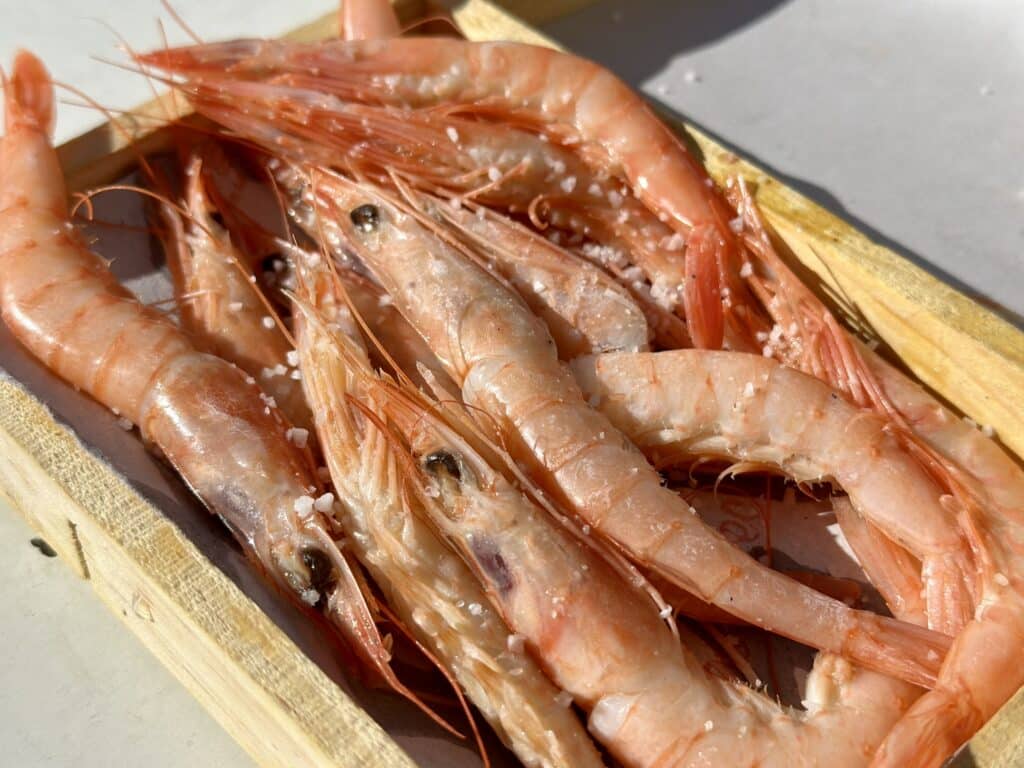 Bar Los Maestres: mítico bar de tapas de Huelva (2024) 4 bar los maestres