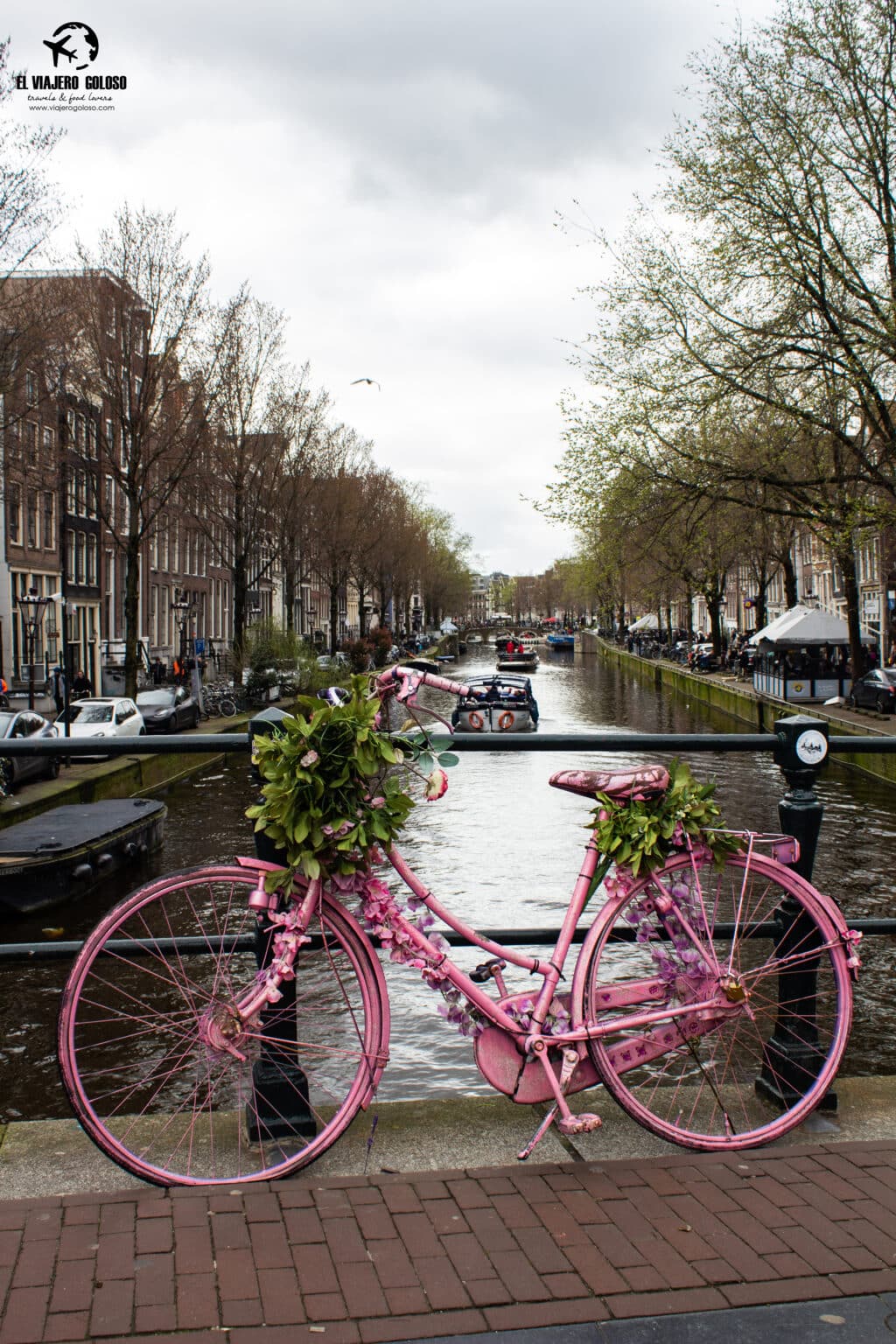 cosas que ver en Ámsterdam
