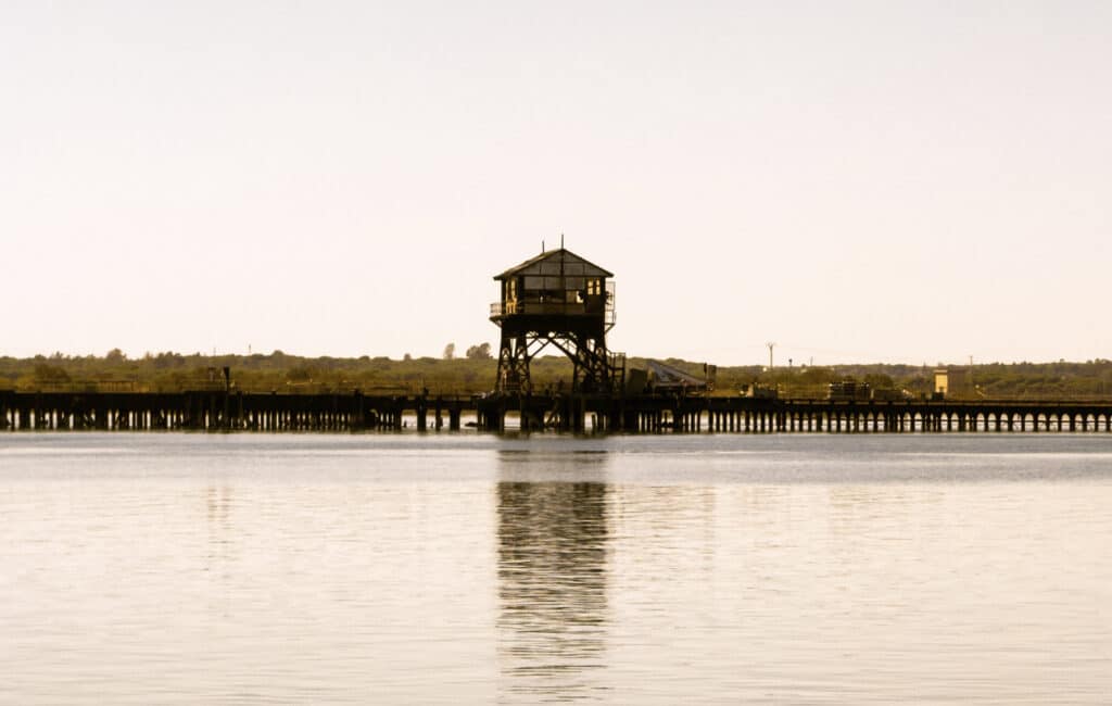 La Cantina del Puerto: nos sorprende uno de los restaurantes con mejores vistas de Huelva (2024) 4 la cantina del puerto