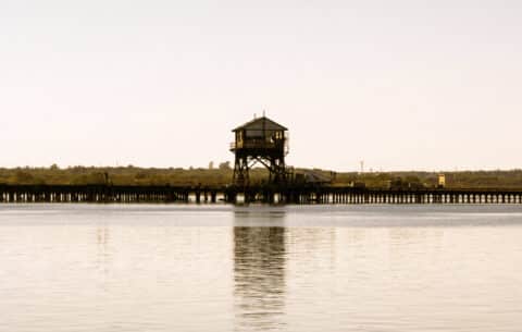 La Cantina del Puerto: nos sorprende uno de los restaurantes con mejores vistas de Huelva (2024) 16 la cantina del puerto