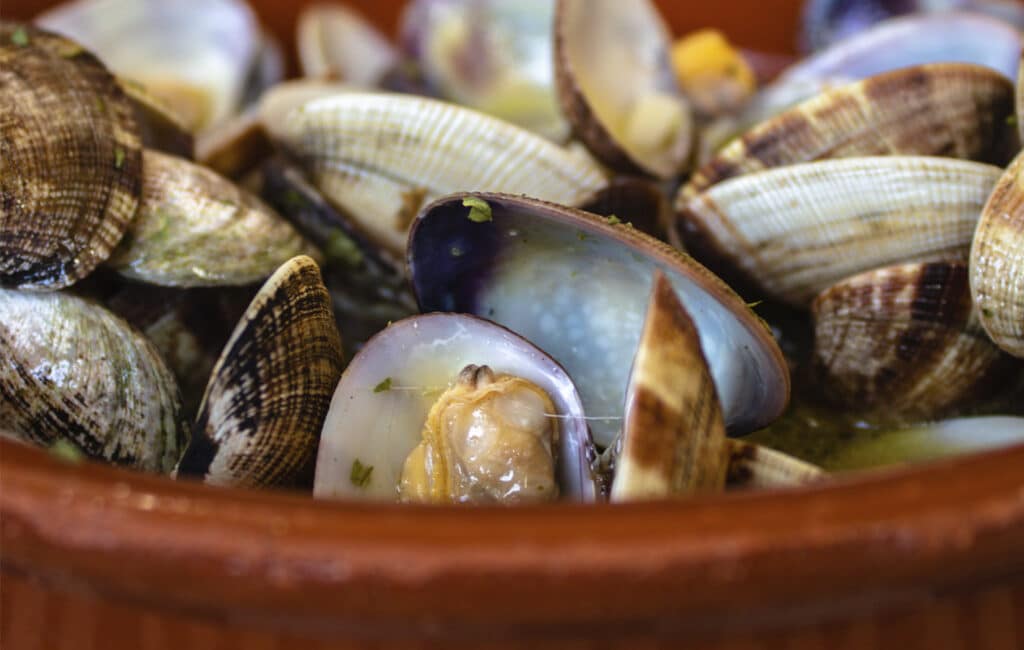 Manguara Corrales: un restaurante tradicional ideal para padres con hijos pequeños (2024) 4 manguara corrales