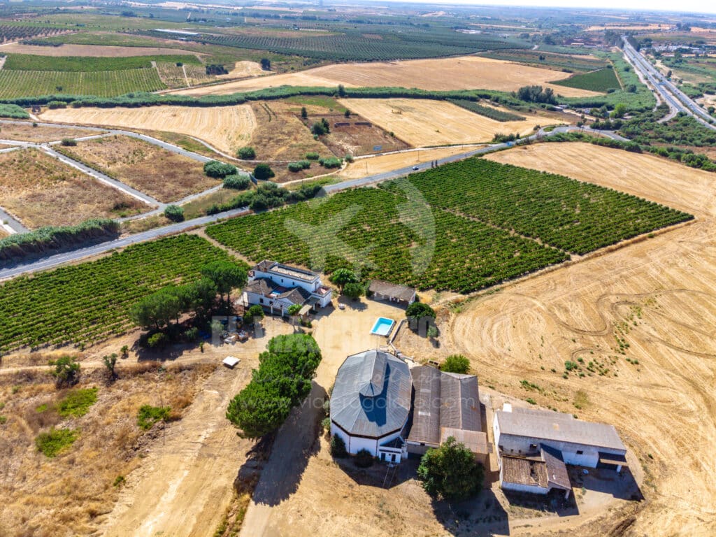 Bodegas Andrade: visita guiada de esta bodega centenaria de Bollullos Par del Condado (2025) 9 bodegas andrade