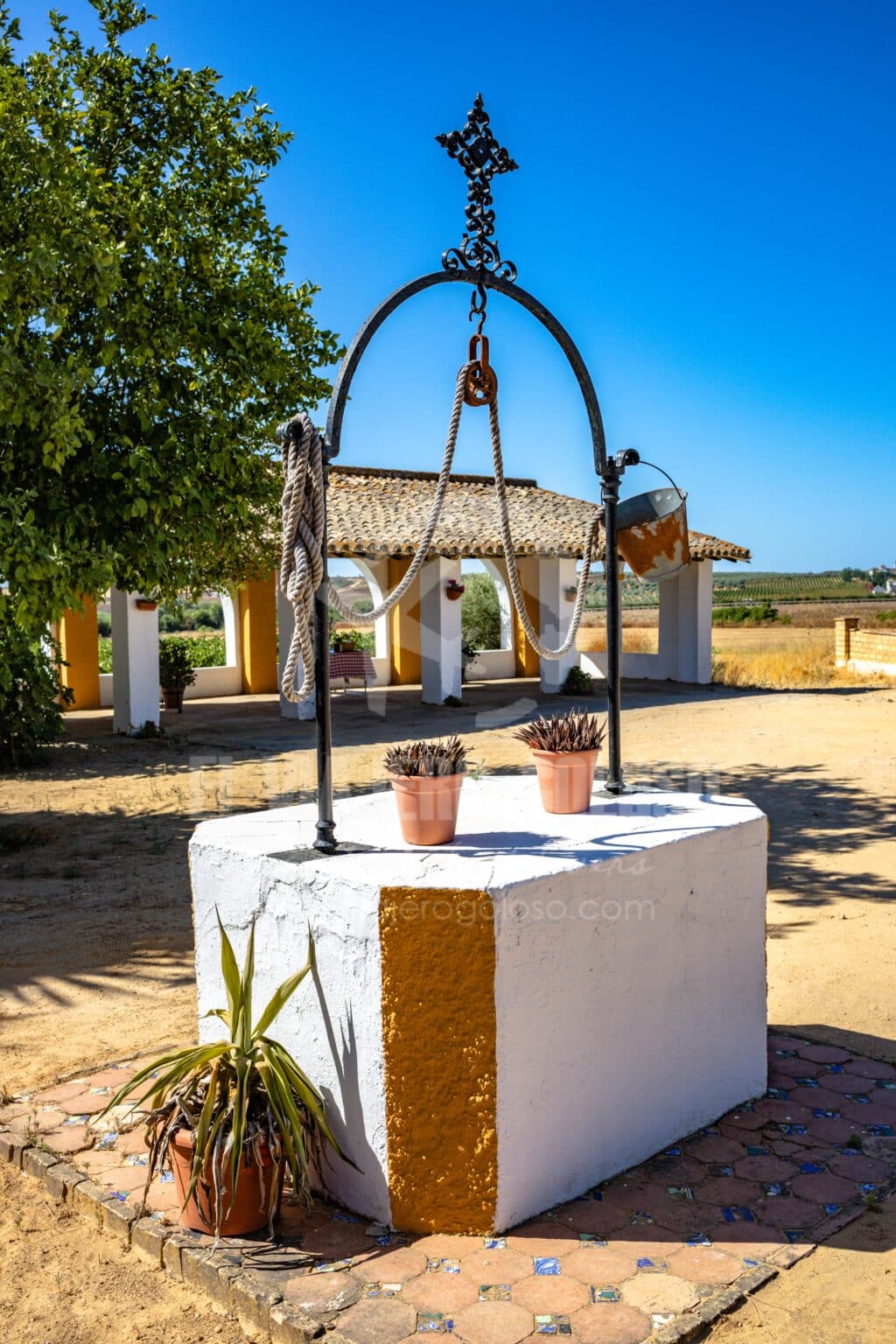 Bodegas Andrade: visita guiada de esta bodega centenaria de Bollullos Par del Condado (2025) 10 bodegas andrade