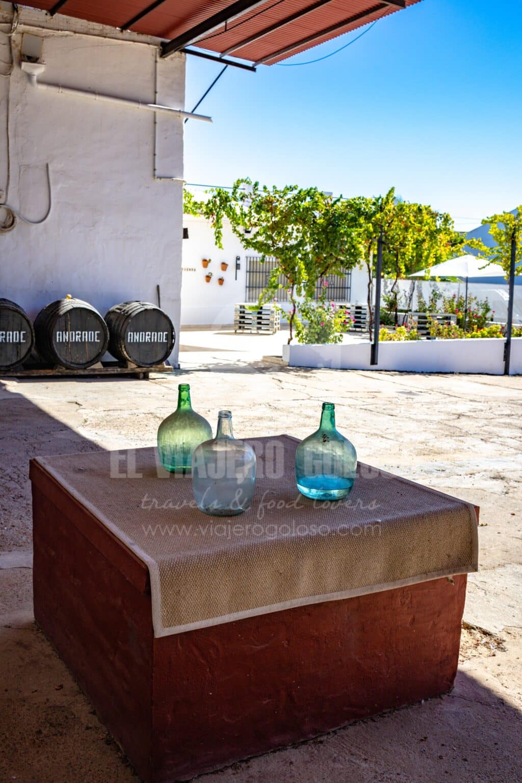 Bodegas Andrade: visita guiada de esta bodega centenaria de Bollullos Par del Condado (2025) 13 bodegas andrade