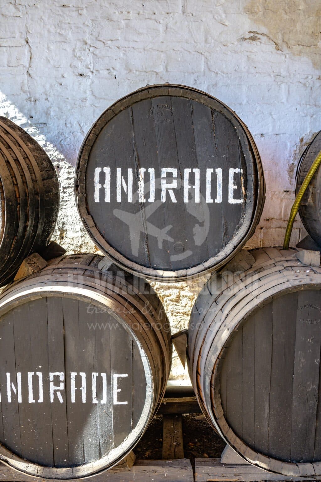 Bodegas Andrade: visita guiada de esta bodega centenaria de Bollullos Par del Condado (2025) 12 bodegas andrade