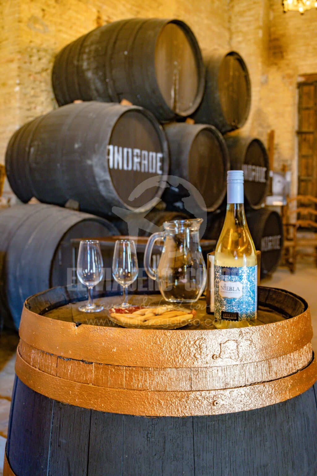 Bodegas Andrade: visita guiada de esta bodega centenaria de Bollullos Par del Condado (2025) 14 bodegas andrade