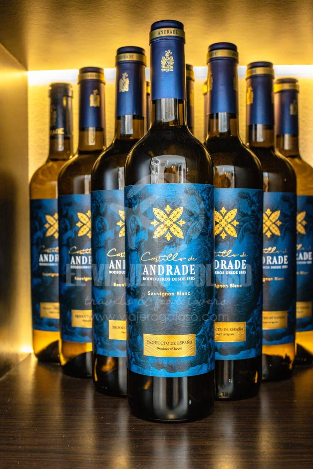 Bodegas Andrade: visita guiada de esta bodega centenaria de Bollullos Par del Condado (2025) 18 bodegas andrade