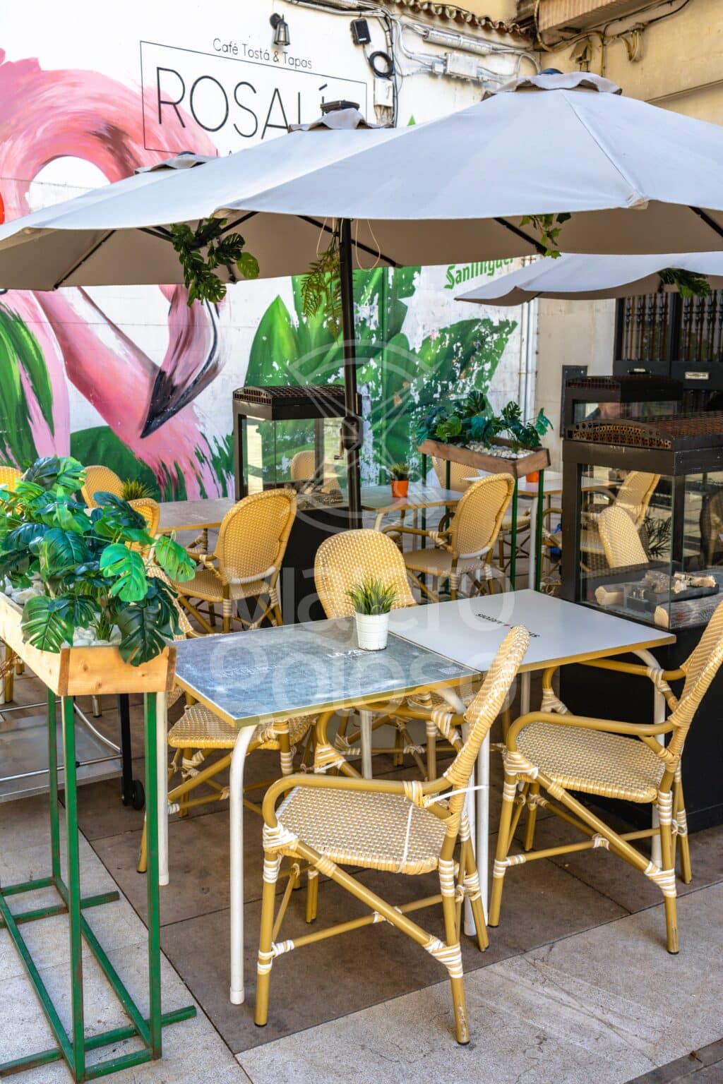 veneno rosalia huelva