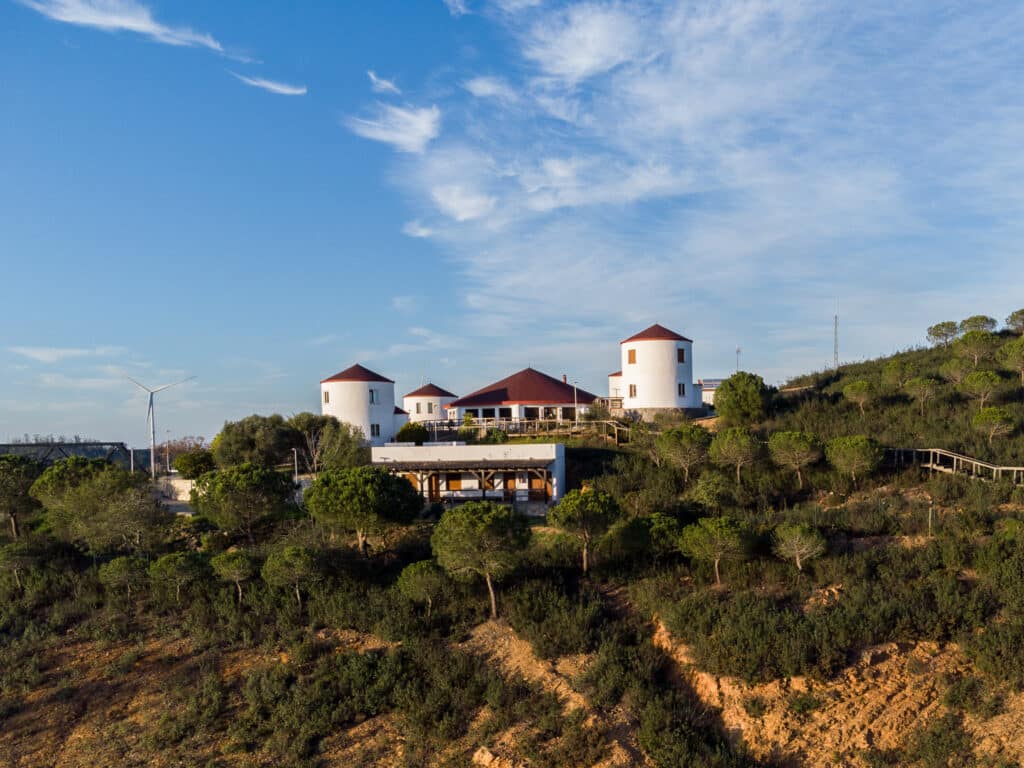 La Jara: comemos con algunas de las mejores vistas de la provincia en la Posada Rural Los Molinos de El Almendro (2025) 4 la jara