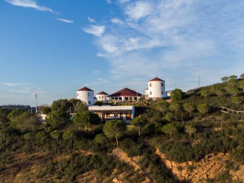 La Jara: comemos con algunas de las mejores vistas de la provincia en la Posada Rural Los Molinos de El Almendro (2025) 22 la jara