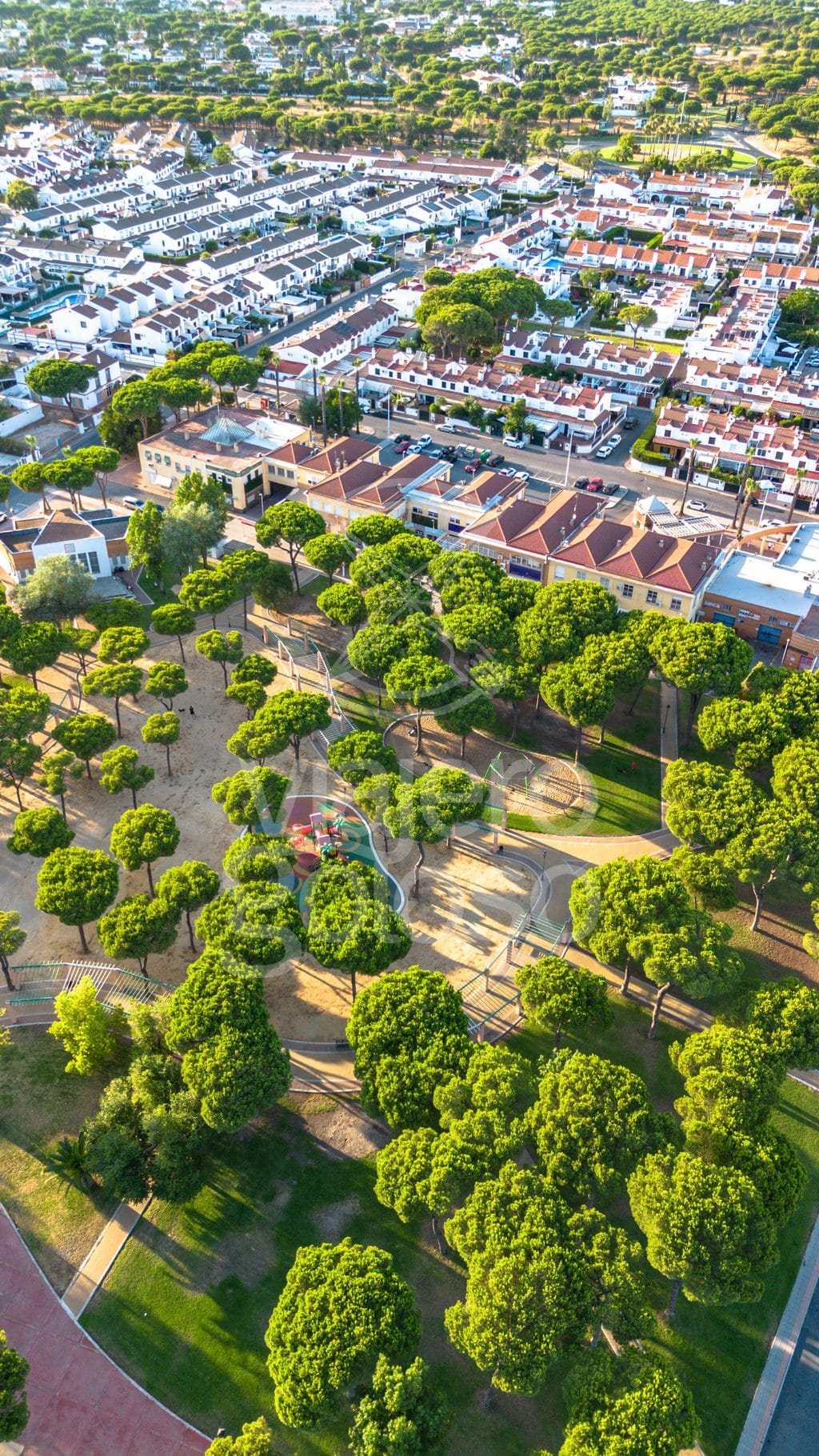 De Sancha: buen producto de Huelva, cocina tradicional y parque infantil al lado en Bellavista (2026) 7 de sancha