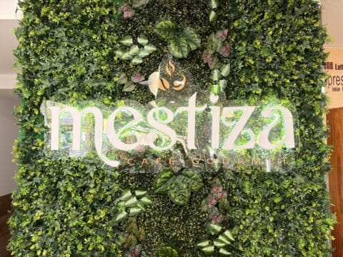mestiza
