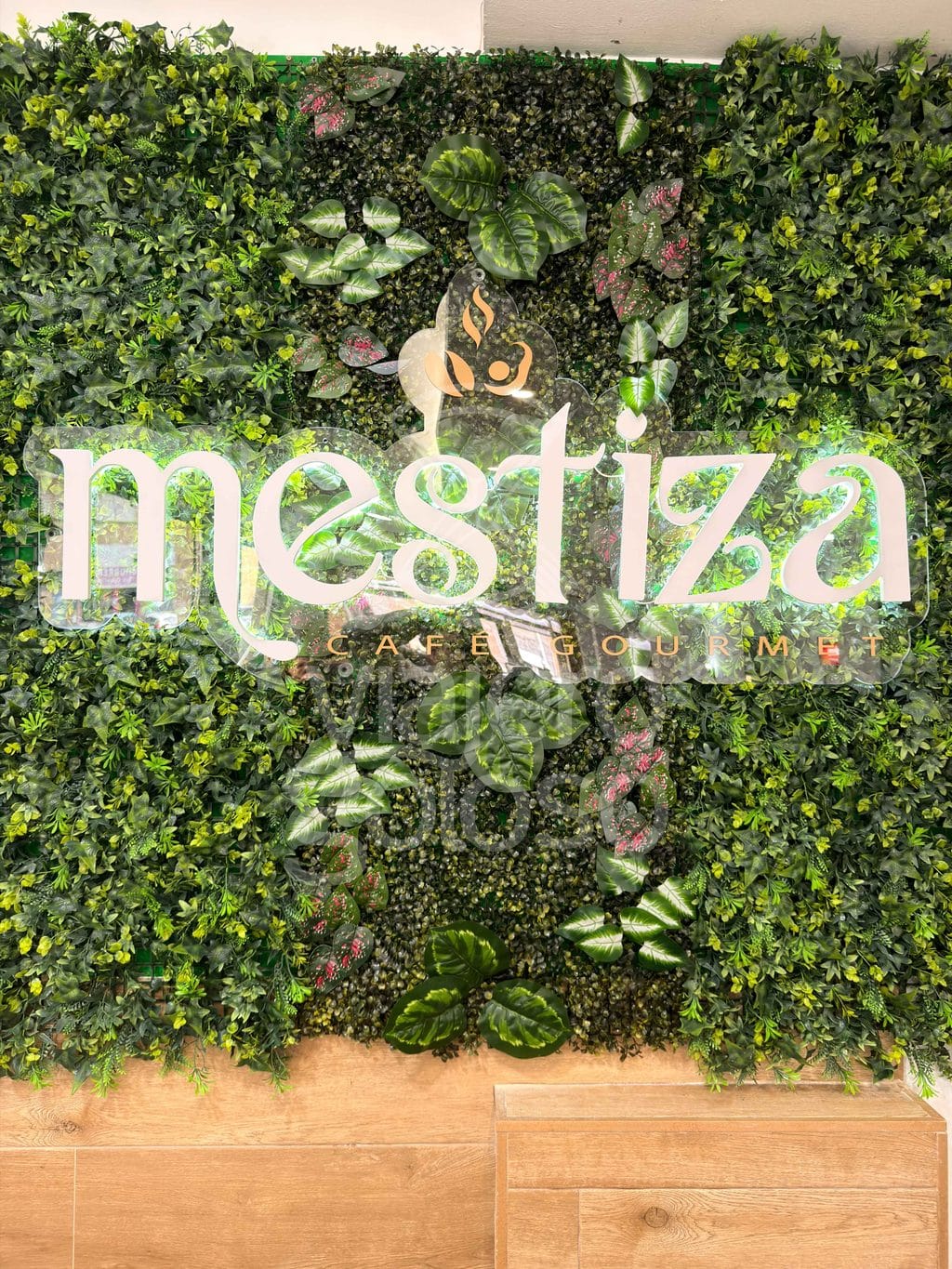 mestiza