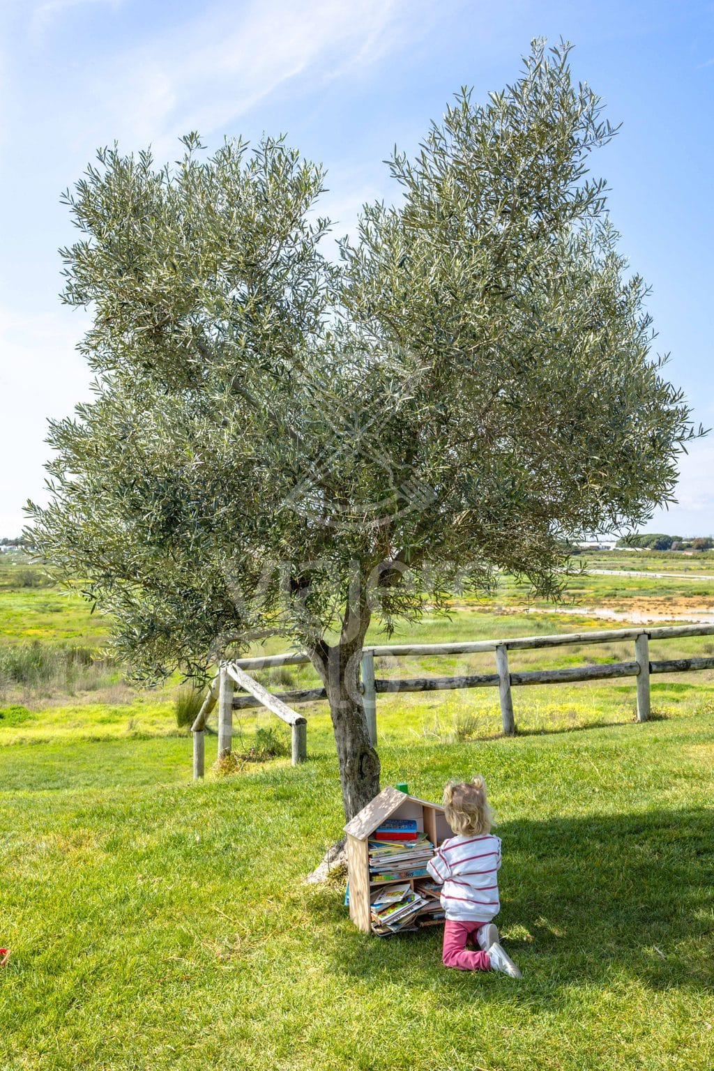 El jardín de Ruben's: cocina fusión española y alemana en un jardín de La Redondela (2026) 8 El jardín de Ruben's