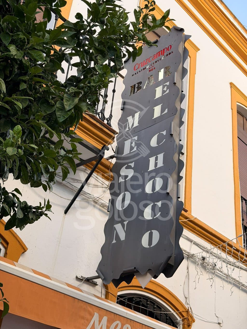 Mesón El Choco: tapeamos en la barra de uno de los grandes clásicos de Ayamonte (2026) 6 mesón el choco