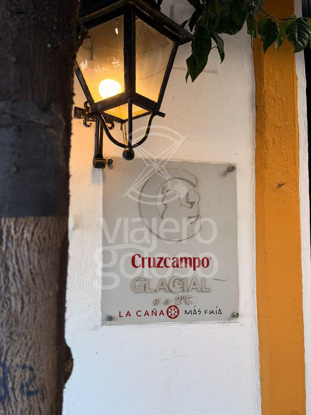 Mesón El Choco: tapeamos en la barra de uno de los grandes clásicos de Ayamonte (2026) 9 mesón el choco