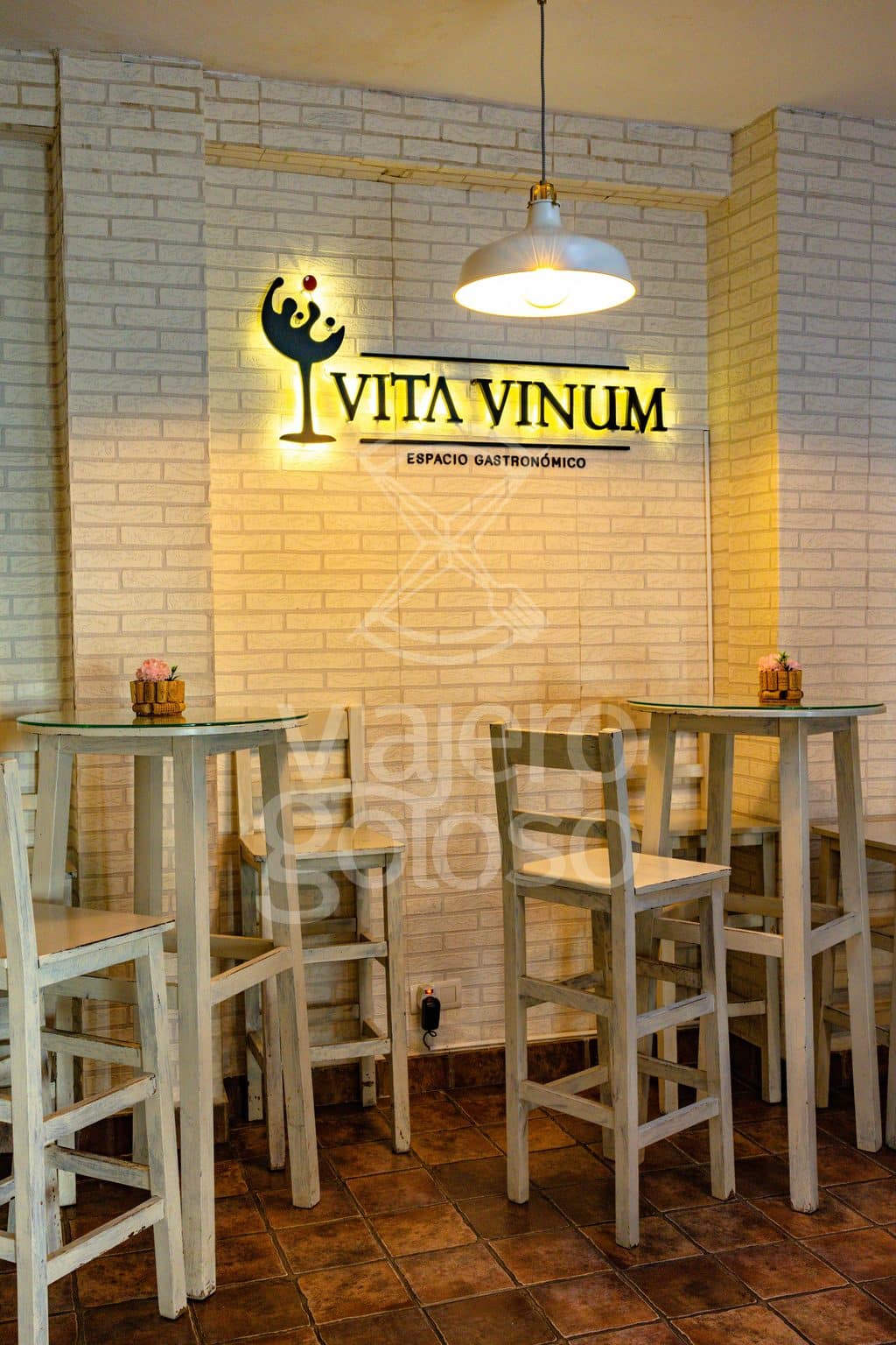 vita vinum