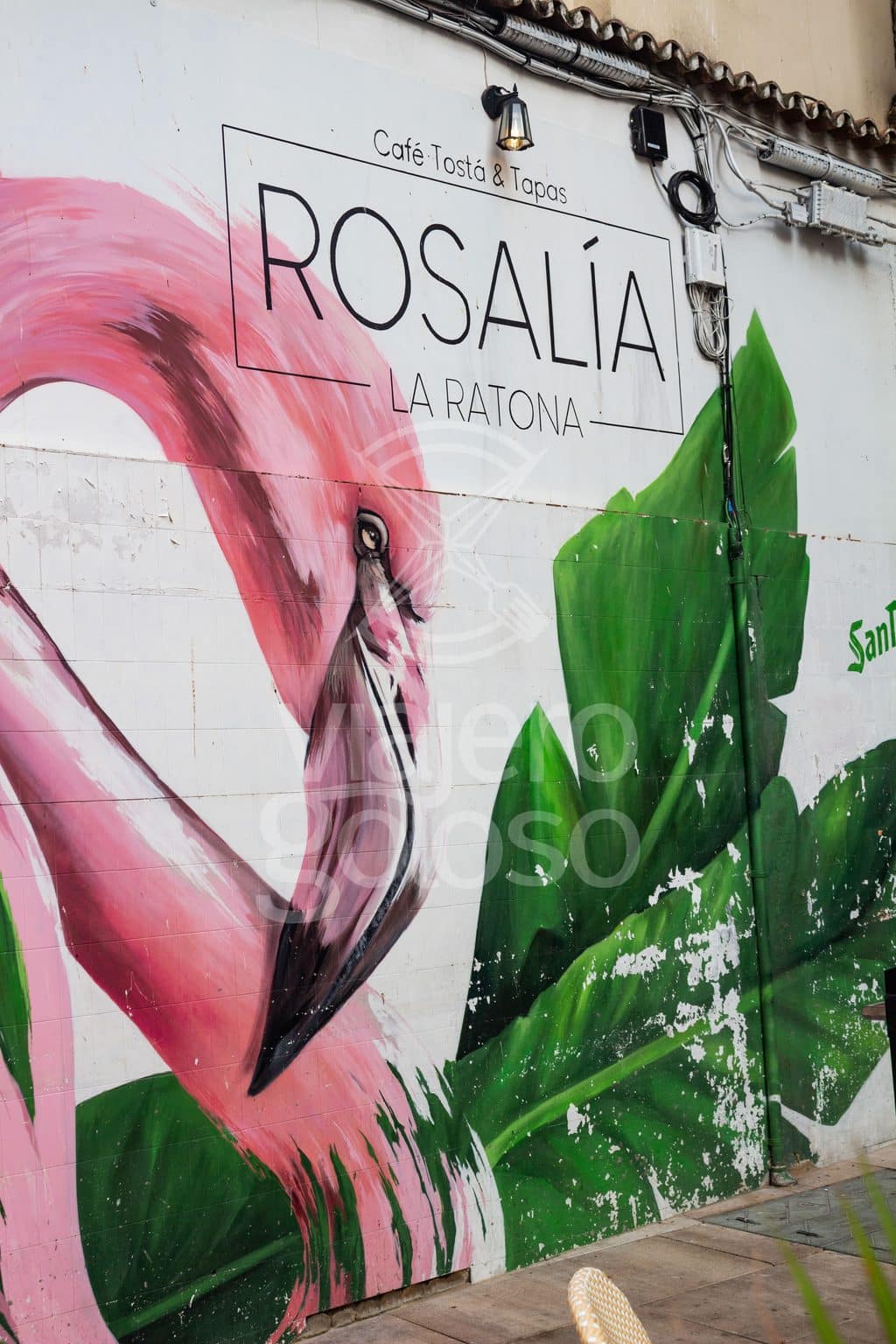 Rosalía la Ratona: volvemos a uno de los locales con más color y buen rollo del centro de Huelva (2025) 6 rosalía la ratona