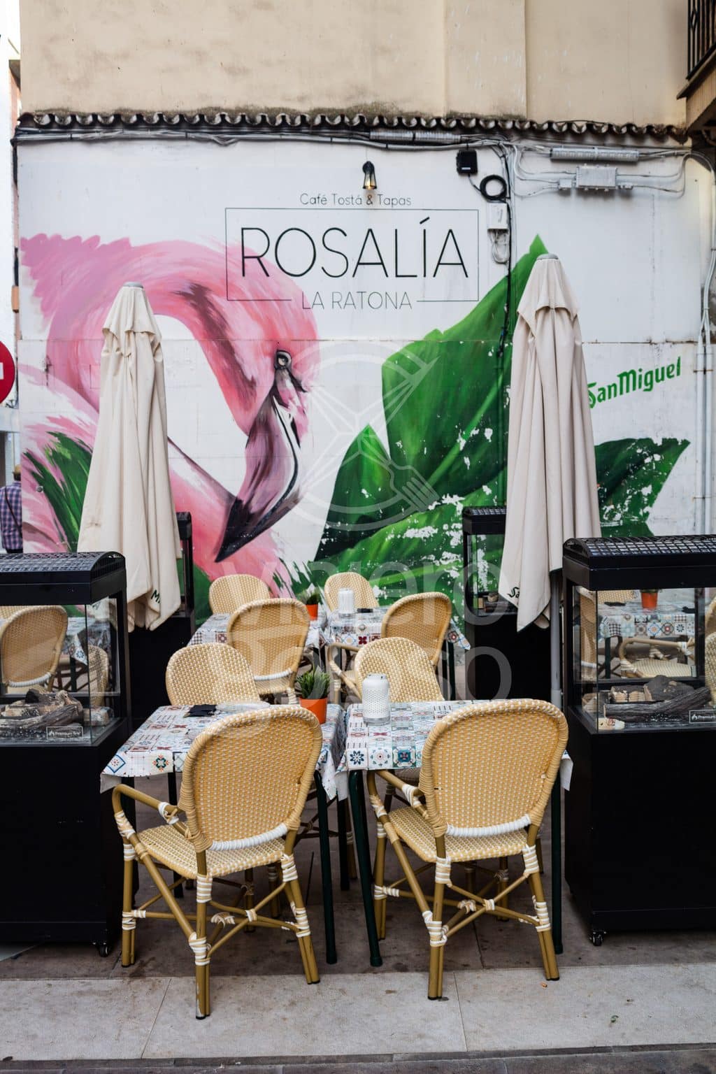 Rosalía la Ratona: volvemos a uno de los locales con más color y buen rollo del centro de Huelva (2025) 7 rosalía la ratona