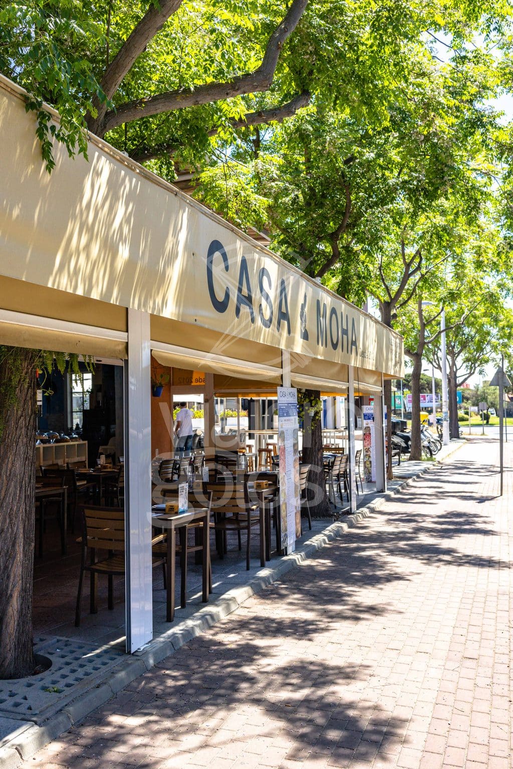 casa moha