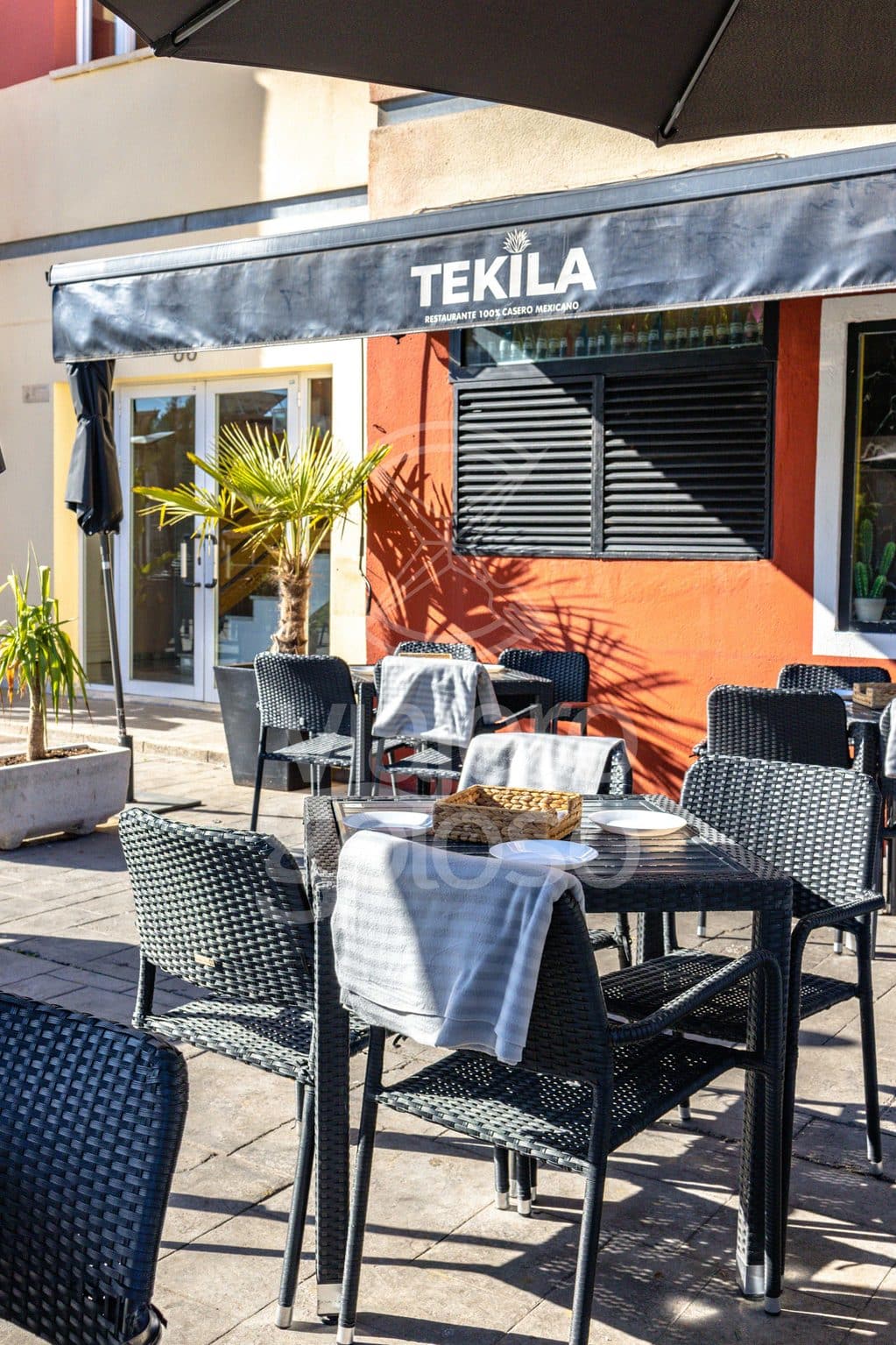 tekila tomares